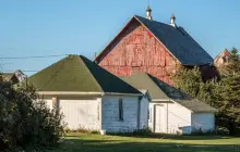 Queens County Farm Museum