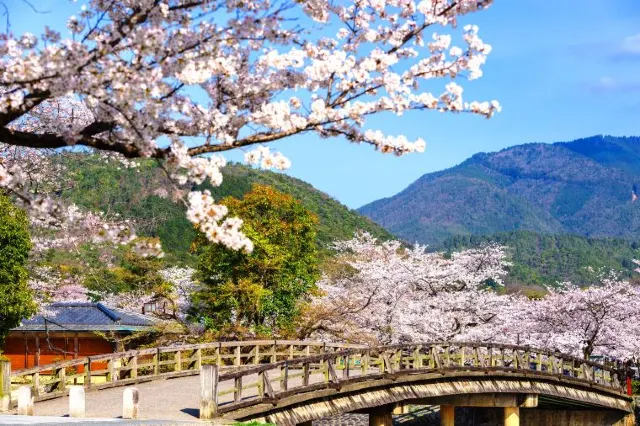 Top 15 Things to Do in Kyoto