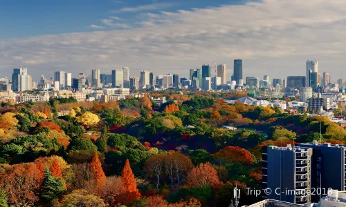 Shinjuku Gyoen National Garden