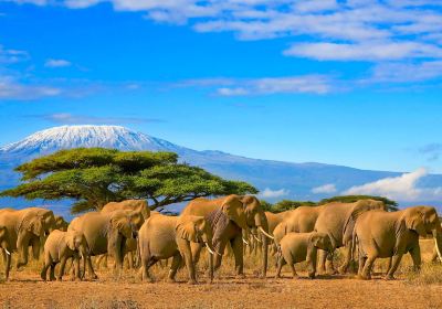 Mount Kilimanjaro