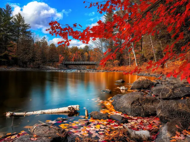 Best Canadian Destinations for Fall Foliage