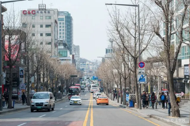 Things to Do in Seoul: A 5-Day Plan