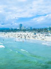 Santa Monica State Beach