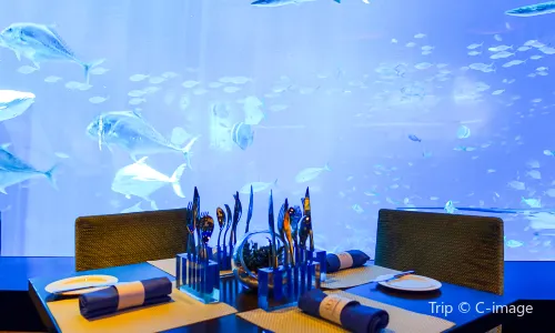 Ocean Restaurant