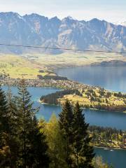 Ziptrek Ecotours