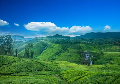 Nuwara Eliya District