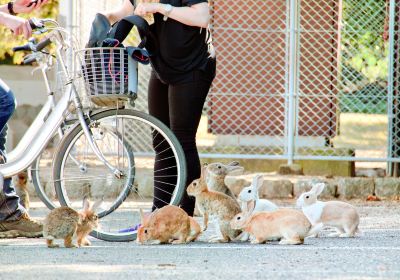 Okunoshima Island