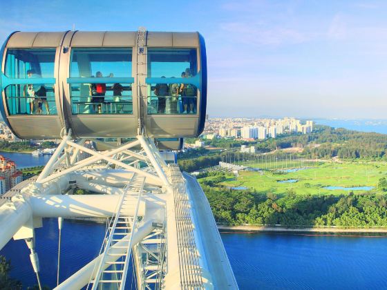 Ruota panoramica di Singapore