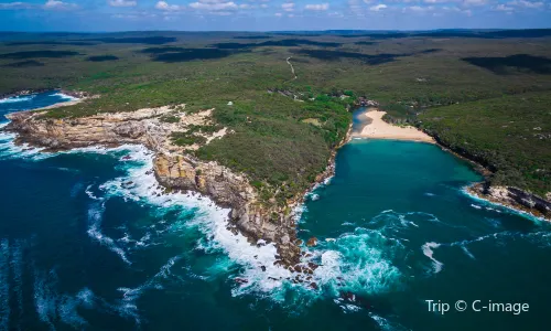 Royal National Park