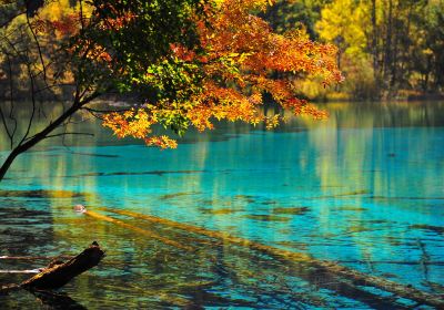 Jiuzhai Valley National Park