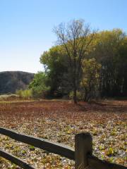 Big Morongo Canyon Preserve