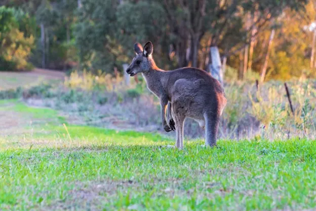 Best Cycling Treks In and Around Sydney For The Adventurous