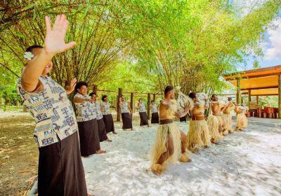 Fiji Culture Village