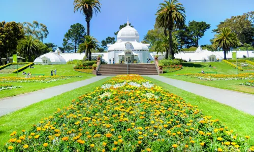 Golden Gate Park