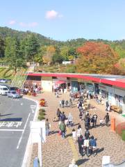 広島市安佐動物公園