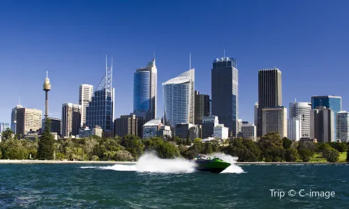 Sydney Boat Experience