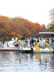 Inokashira Pond