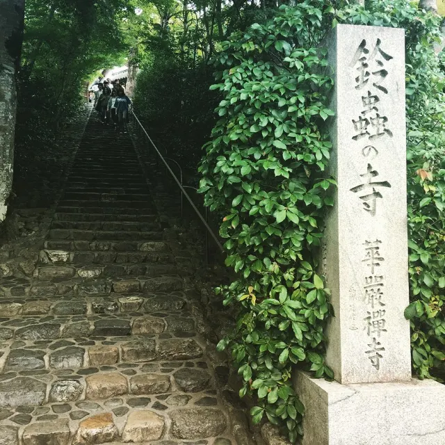 【京都神社⛩️】京都本地人會去的10大神社推介！