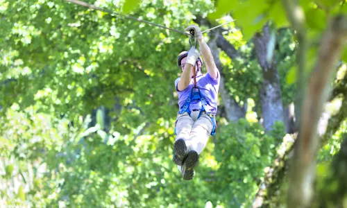 Jungle Flight Chiang Mai