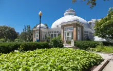 Allan Gardens