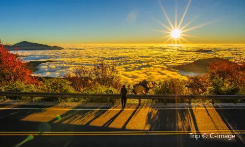 Alishan National Scenic Area