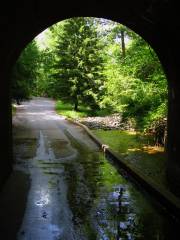 Patapsco Valley State Park - Hollofield Area