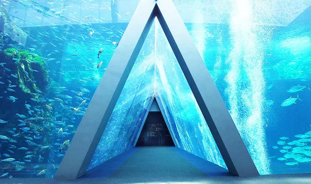 Special Aquarium Must Go in Summer