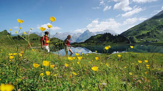 Gallop Among Towering Snowy Mountains with a Panoramic View of the Alps