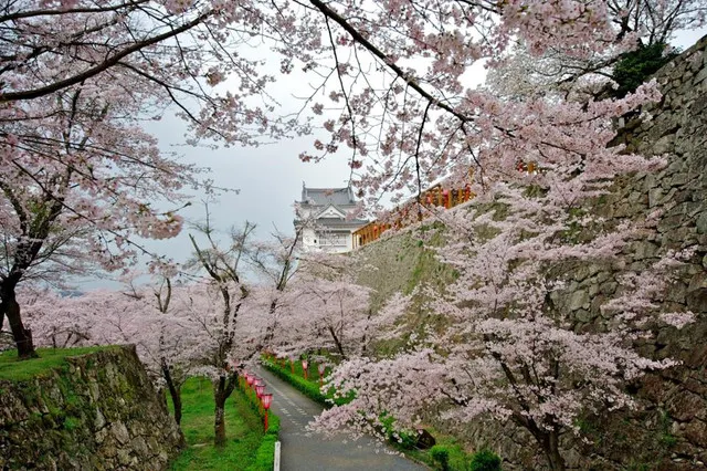 The Best Cherry Blossom Spots