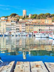 Le Vieux Port de Cannes