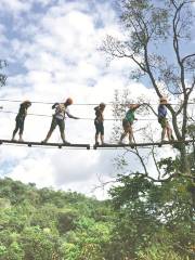 Dragon Flight Zipline Chiang Mai