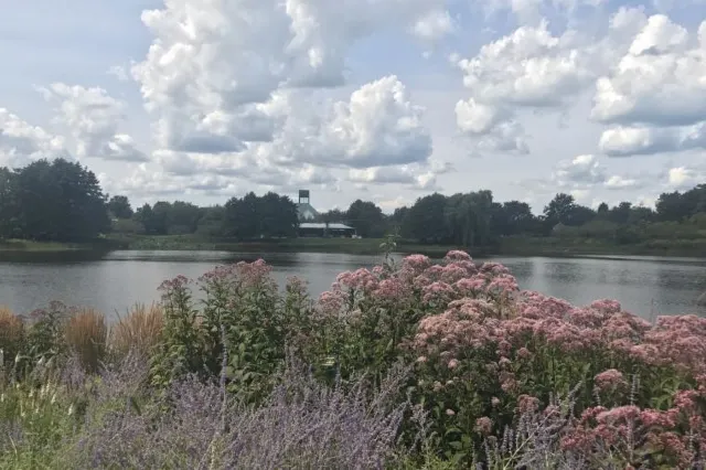 The Complete Guide to Chicago Botanic Garden