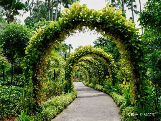 Giardini botanici di Singapore