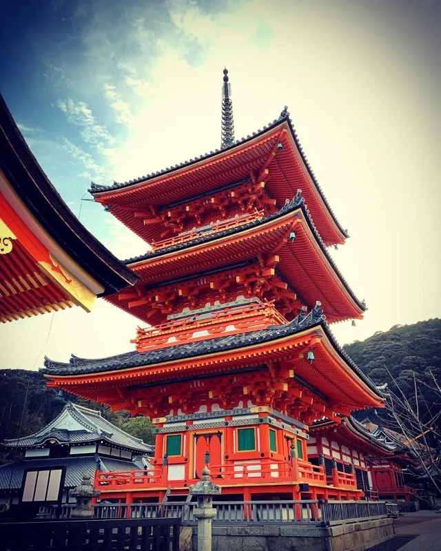 【京都神社⛩️】京都本地人會去的10大神社推介！