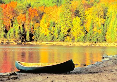 Algonquin Provincial Park