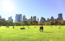 Sheep Meadow