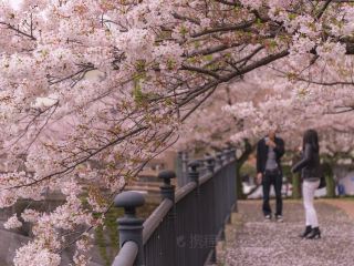 福岡好去處