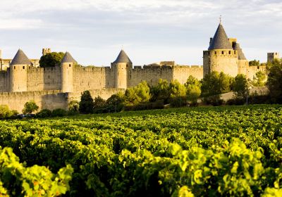 Cité von Carcassonne