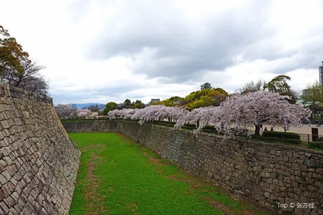  A Most-toured Historic Site in Japan