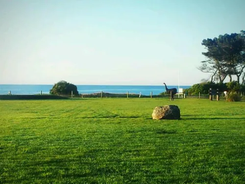 See Blue Penguins and the Moeraki Boulders, And Go Back in Time to a Victorian-Era European Style Town