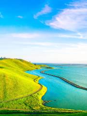 Coyote Hills Regional Park