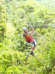 Flying Gibbons' Jungle Leap