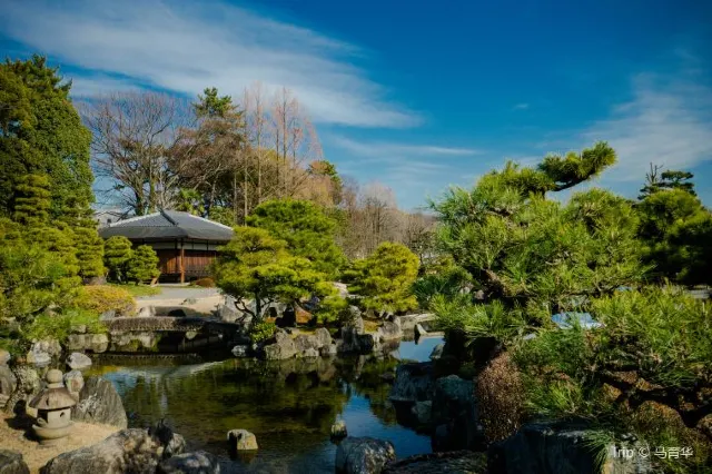 Top 15 Things to Do in Kyoto