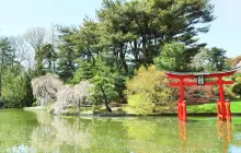 Brooklyn Botanic Garden