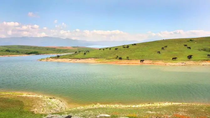 Jiashan Plateau Ranch