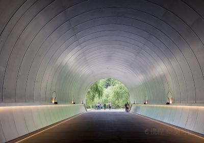 Miho Museum