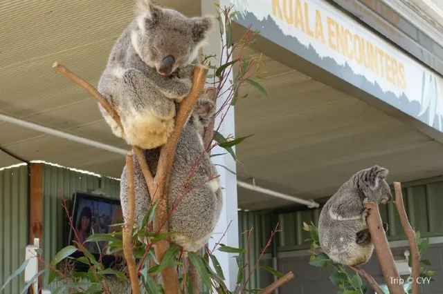 Adventure Outdoors: Wild Life & Adventures in Sydney 2024