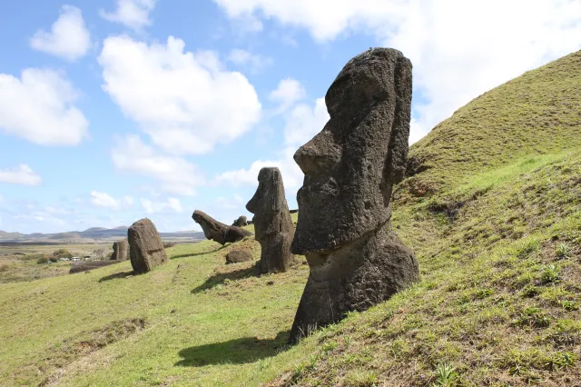 Virtual Museum Tours to Take During Lockdown: National Park Virtual Tour & Aquarium 