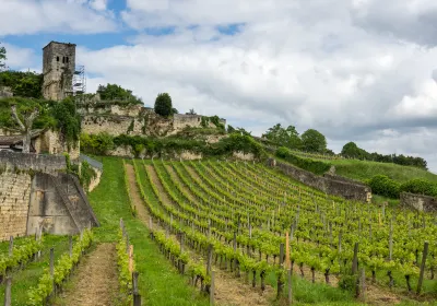 Bordeaux