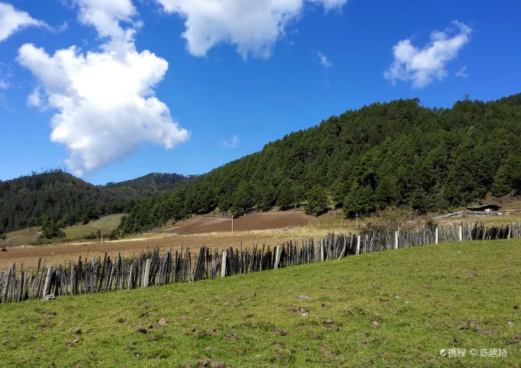 【雲南美食】2024雲南美食餐廳盤點！附當地景點推薦